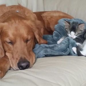 Meet your Posher, Jackie